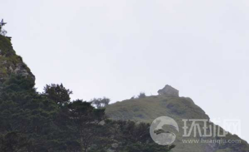 ����ͼ����ӡ�߾���ӡ������