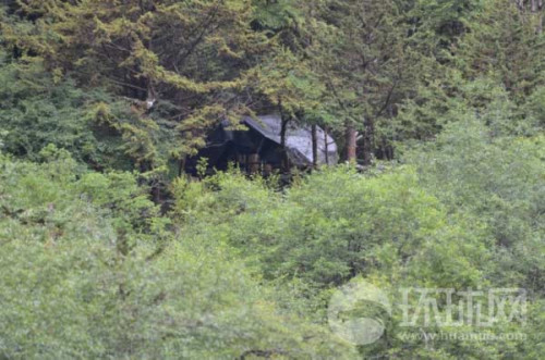 ����ͼ����ӡ�߾���ӡ������