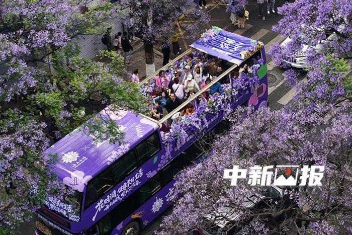 当公路遇上繁花 城市“花路”撞色大片来了