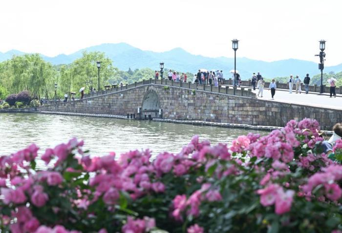 杭州入夏升温 西湖逐步“换装”