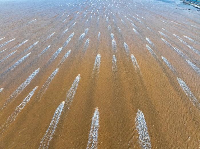 钱塘潮涌上演“万箭齐发”