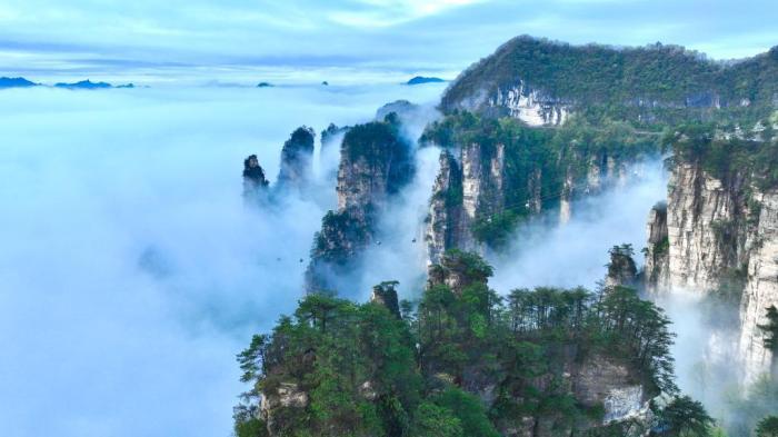 湖南张家界天子山迎来春日云瀑盛景